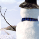 Larry Chilly speaks out against mankind's global irresponsibility.